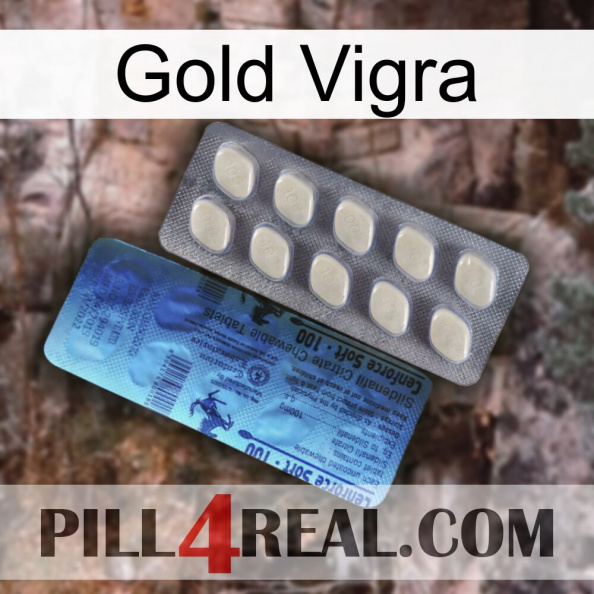 Gold Vigra 34.jpg